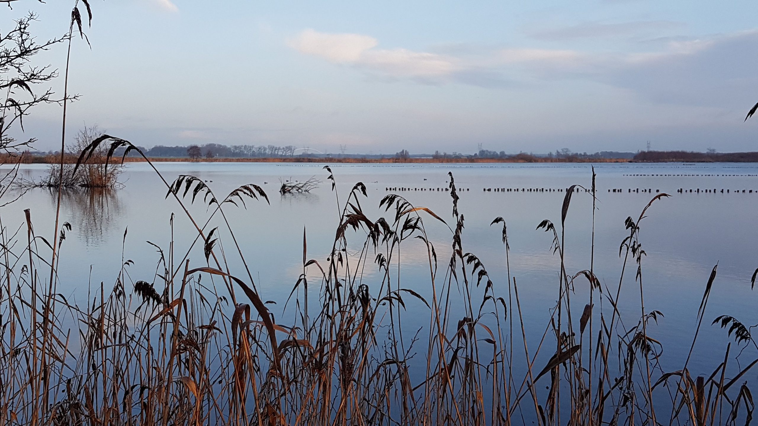 Ankeveense Plassen