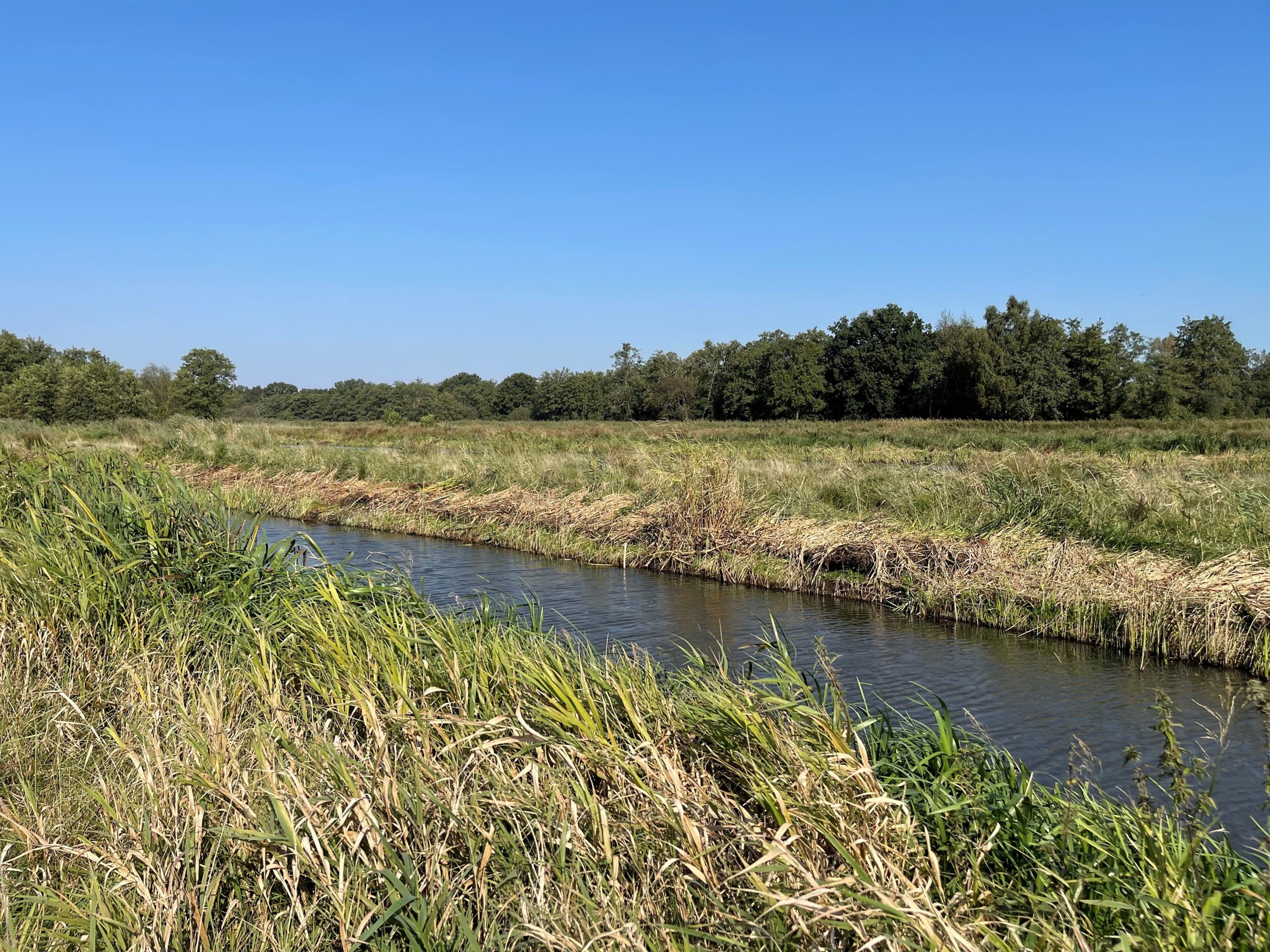 Polder Kortenhoef Oost