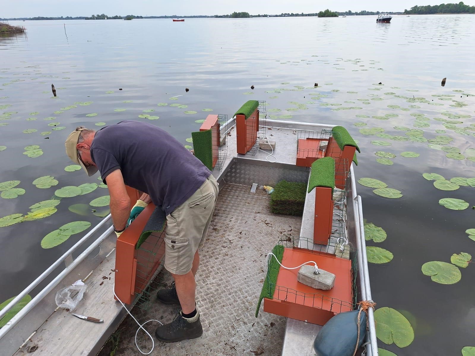 Plaatsen nestvlotjes zwarte stern Loosdrechtse Plassen