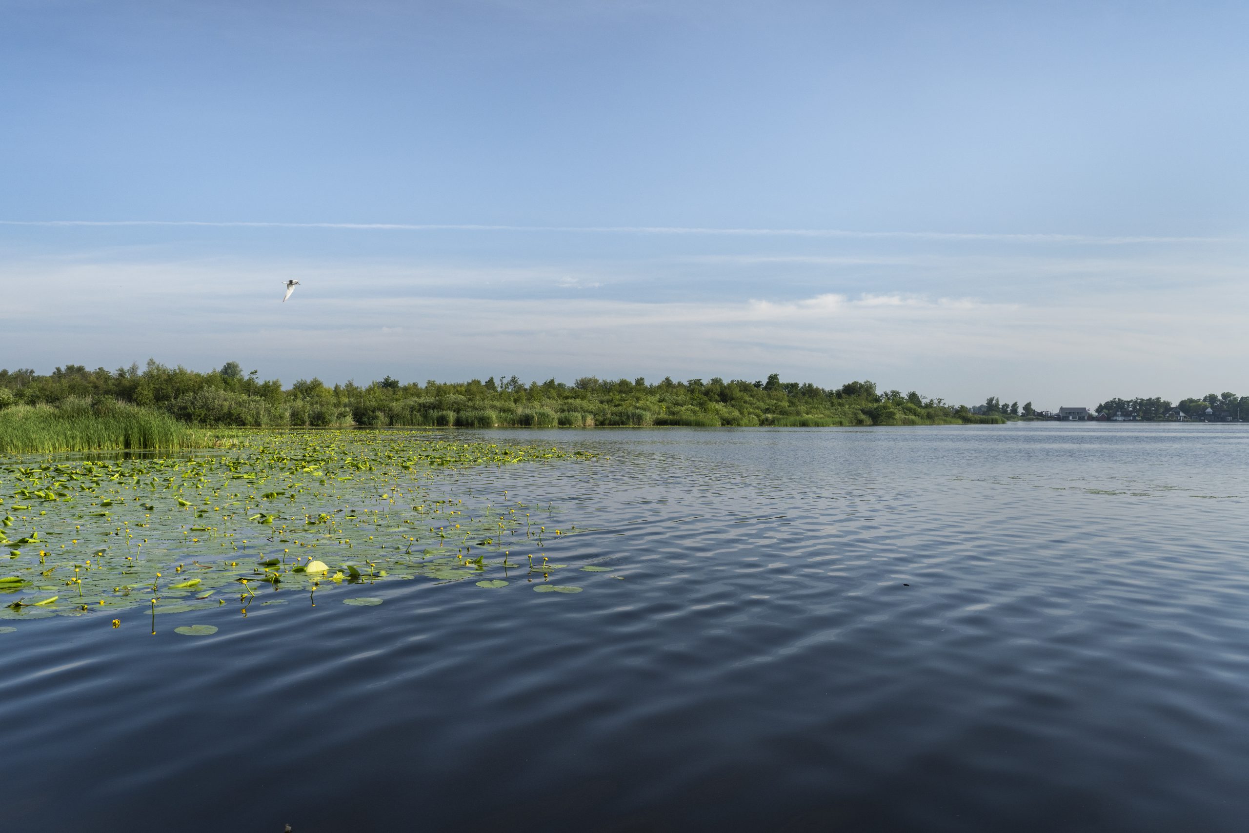 Onderzoek knelpunten Stille Plas en Vuntus