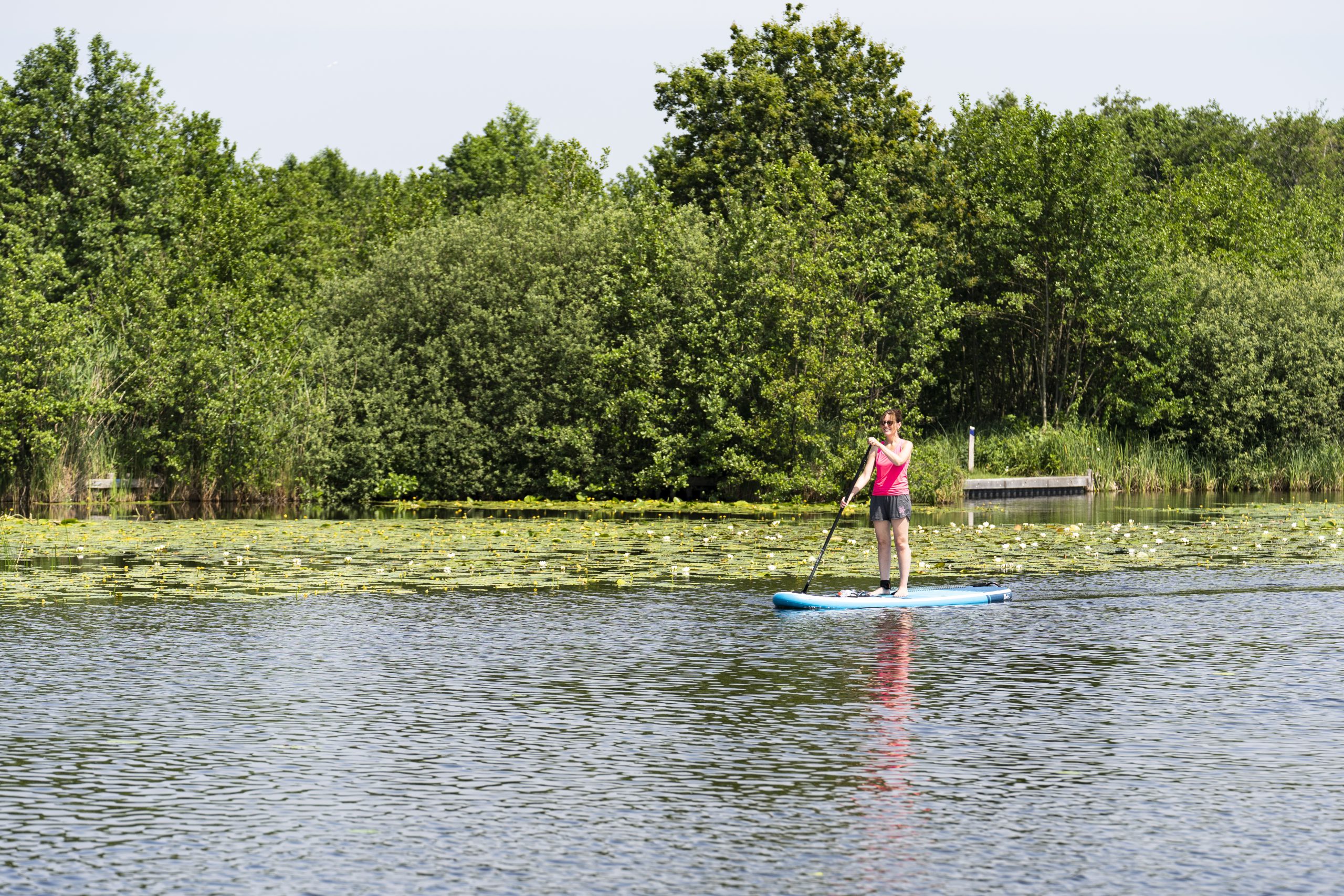 Bescherm de parel van de Loosdrechtse Plassen