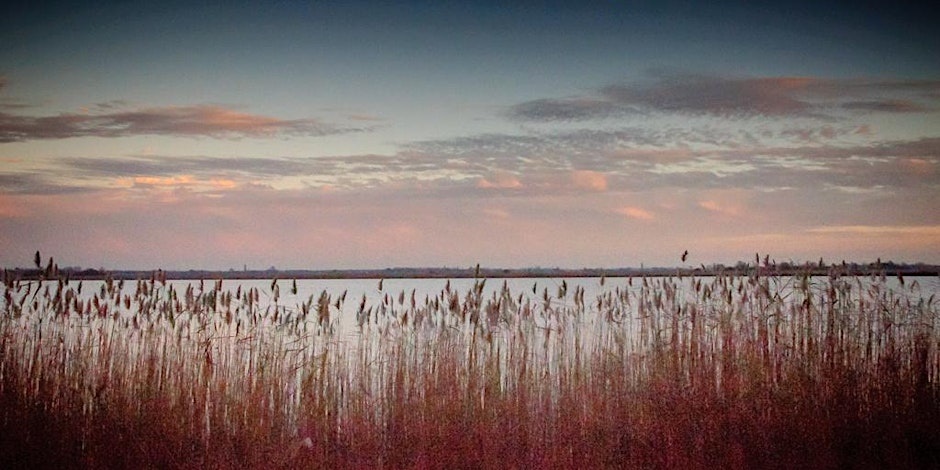 Loenderveense Plas