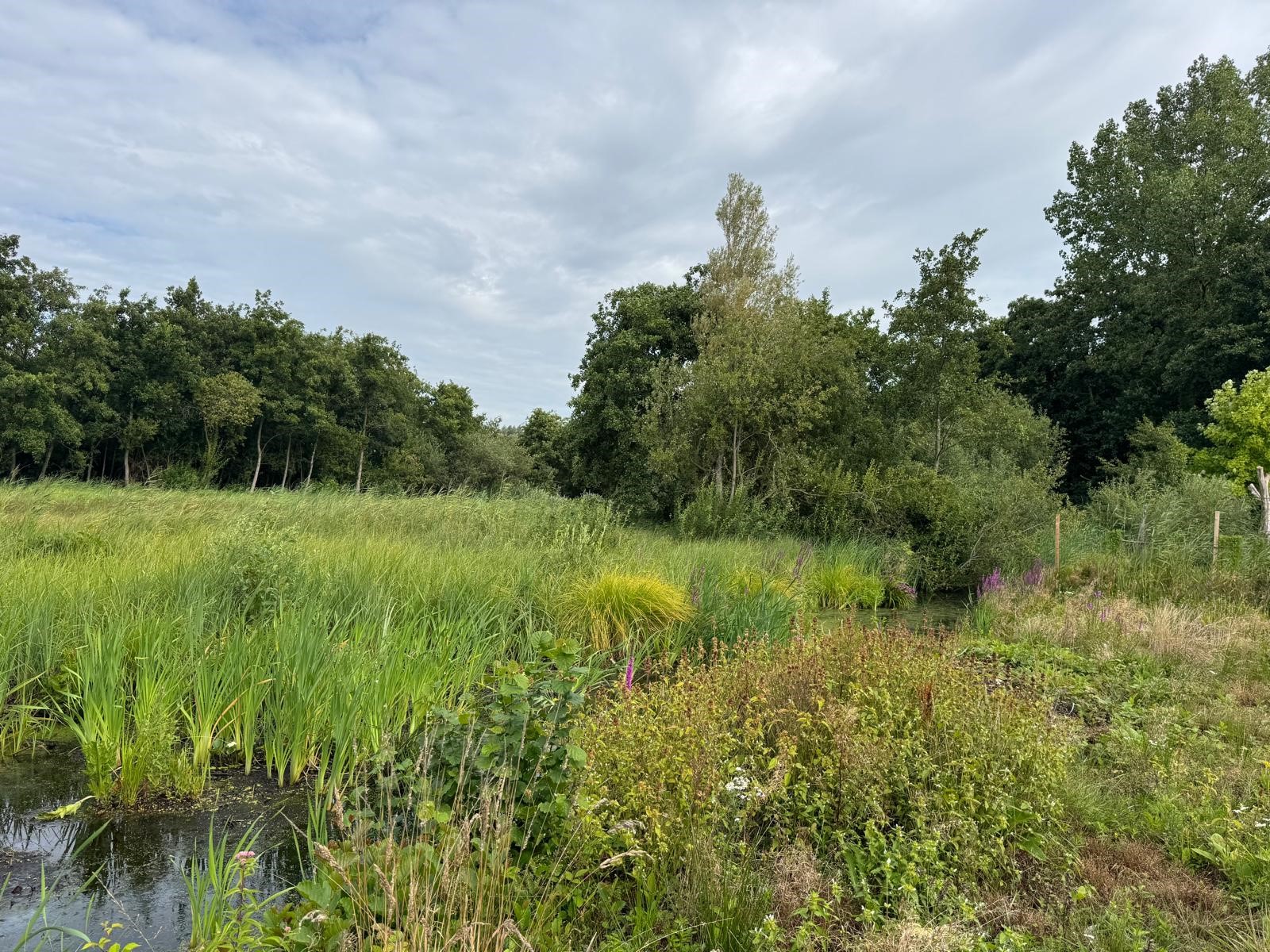 Natuurverbinding Vuntus