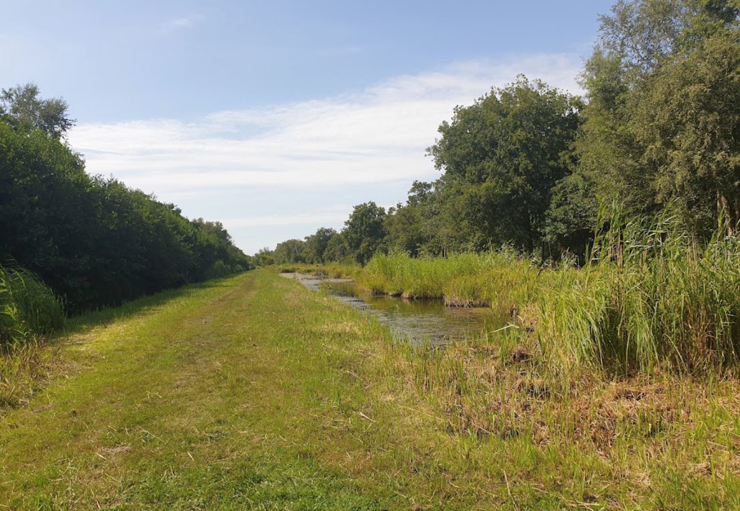 Provincie Noord-Holland geeft komend jaar meer geld aan natuurontwikkeling