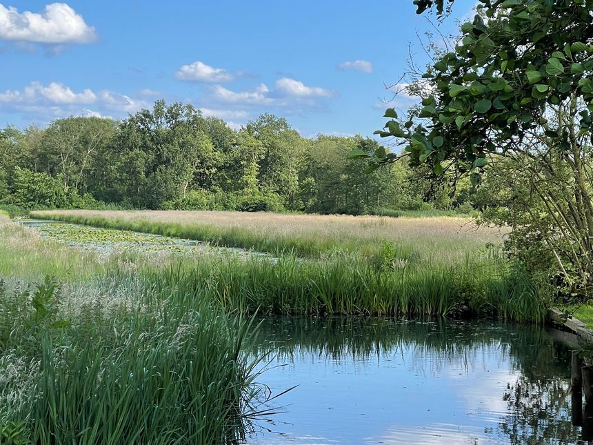 Provincie maakt definitief geld vrij voor NNN-realisatie in Oostelijke Vechtplassen