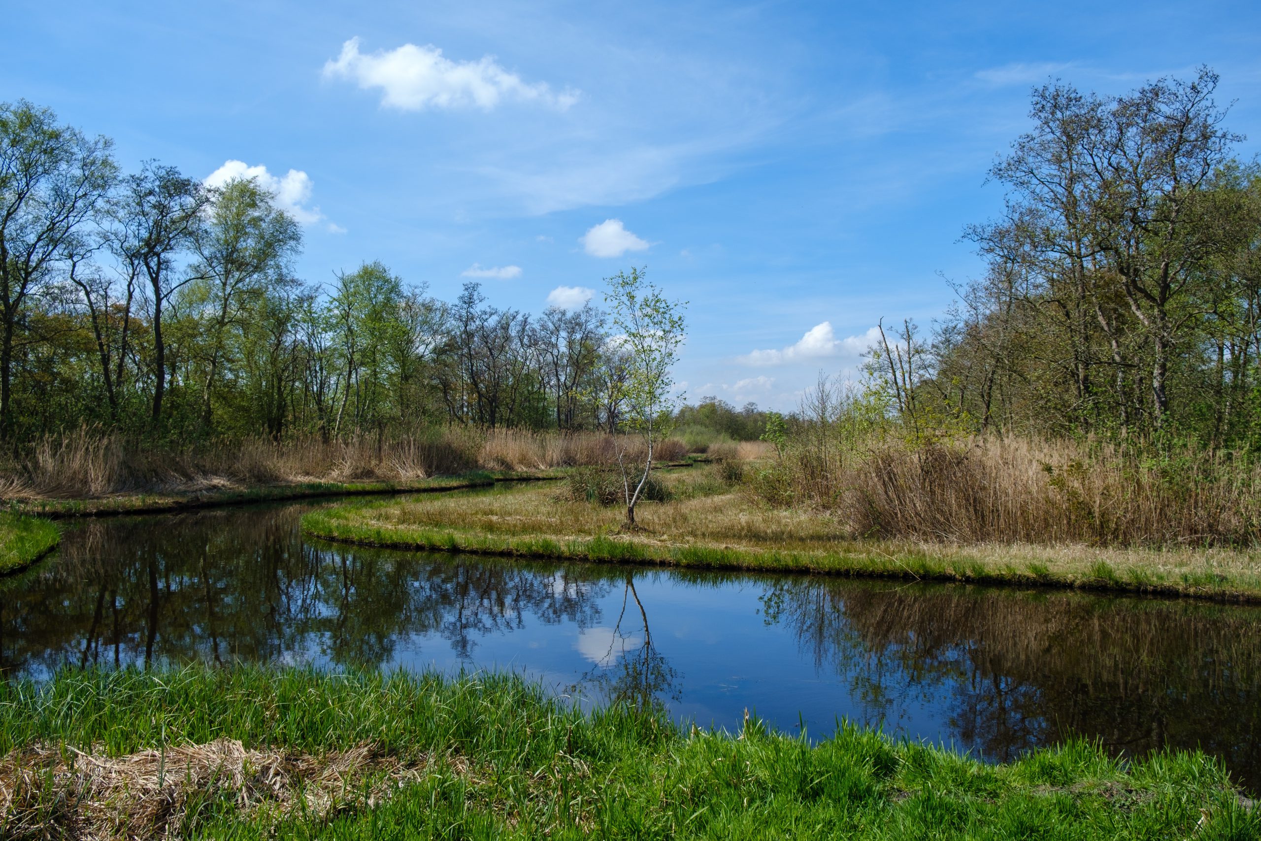 Voorlopig ontwerp voor herstel Het Hol is geactualiseerd