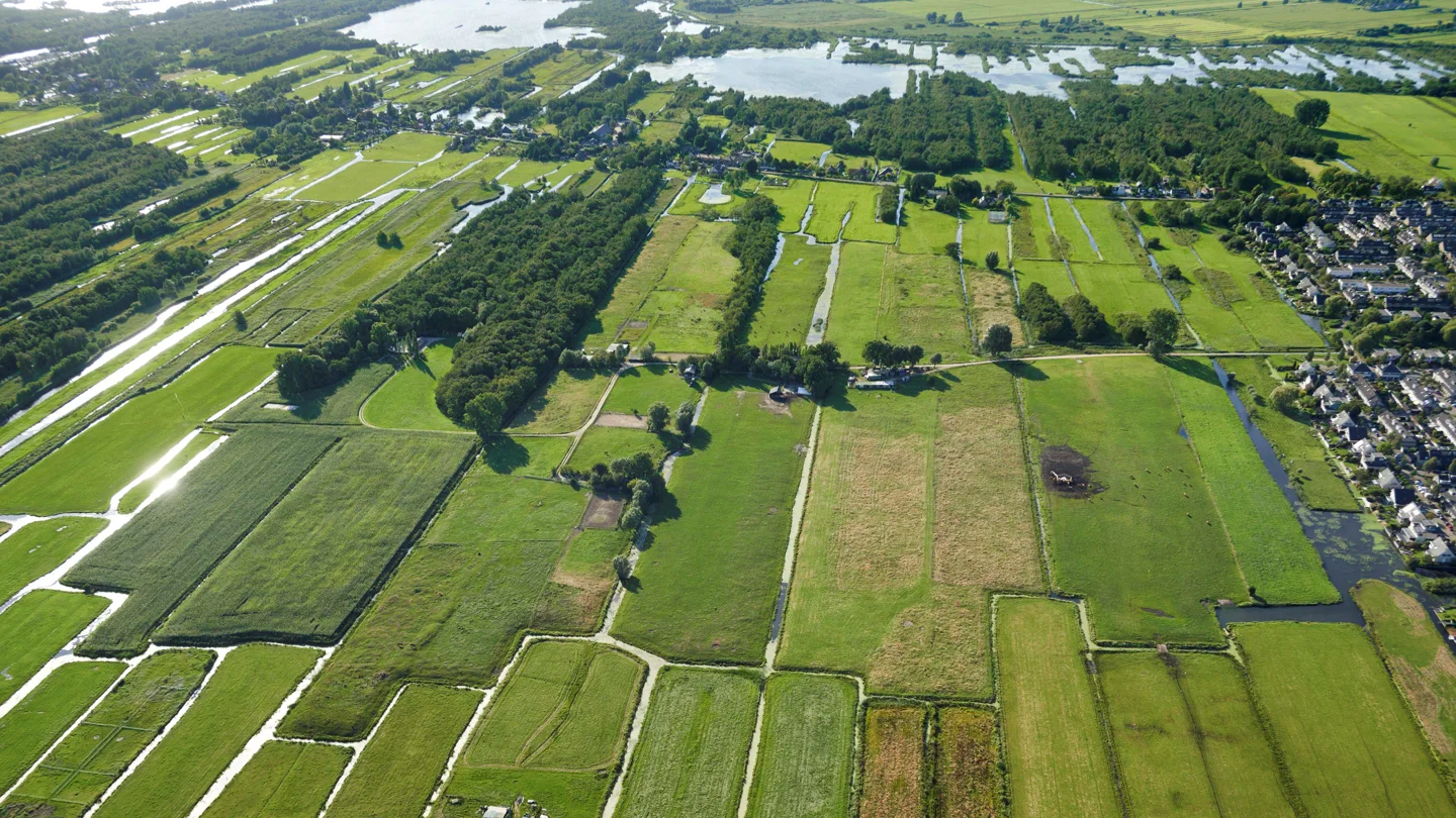 Beeldvormende sessie Natuurontwikkeling Oostelijke Vechtplassen