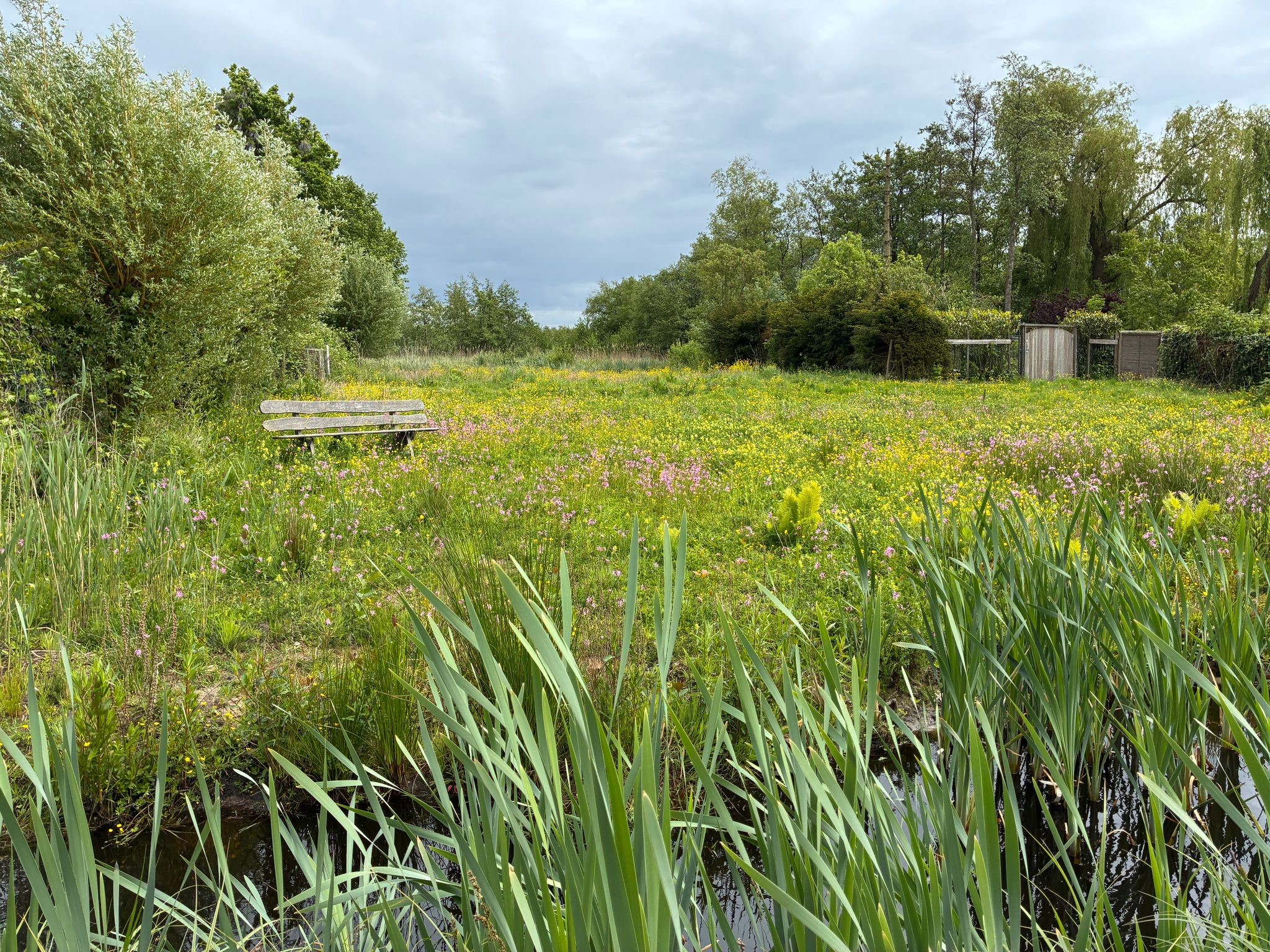 Bloemenzee op VONA-terrein versterkt natuurverbinding